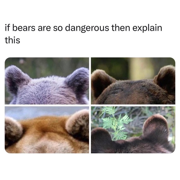 Meet your Posher, Posh - Picture 2 of 14